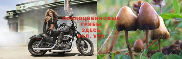 гашиш Медногорск