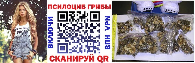 Галлюциногенные грибы Cubensis  купить наркоту  Серафимович 